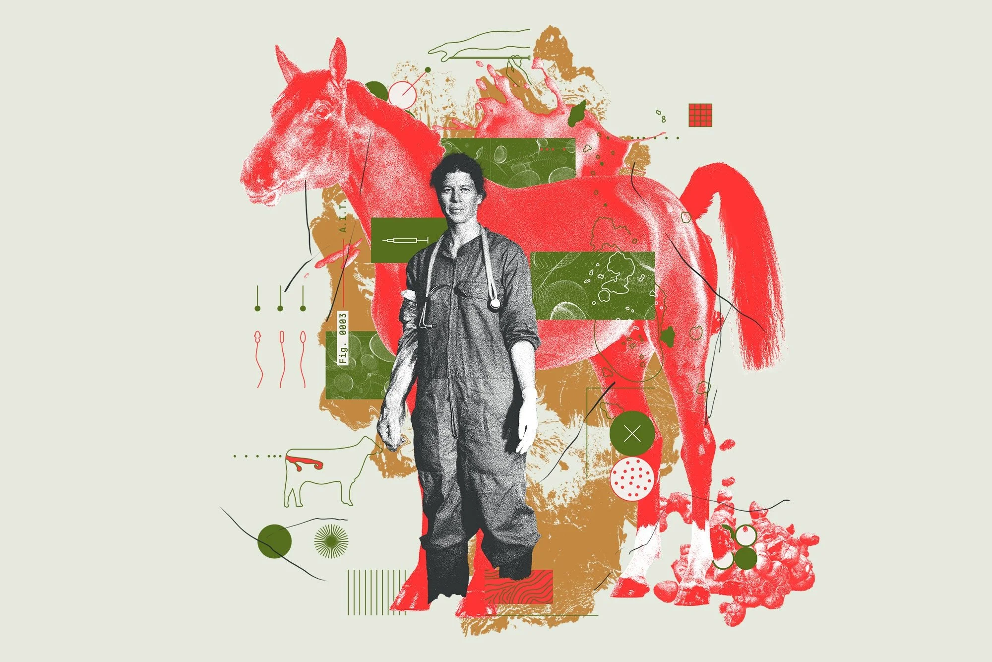 A red, brown, and green collage illustration showing a human standing in front of a horse, along with lots of horse poop