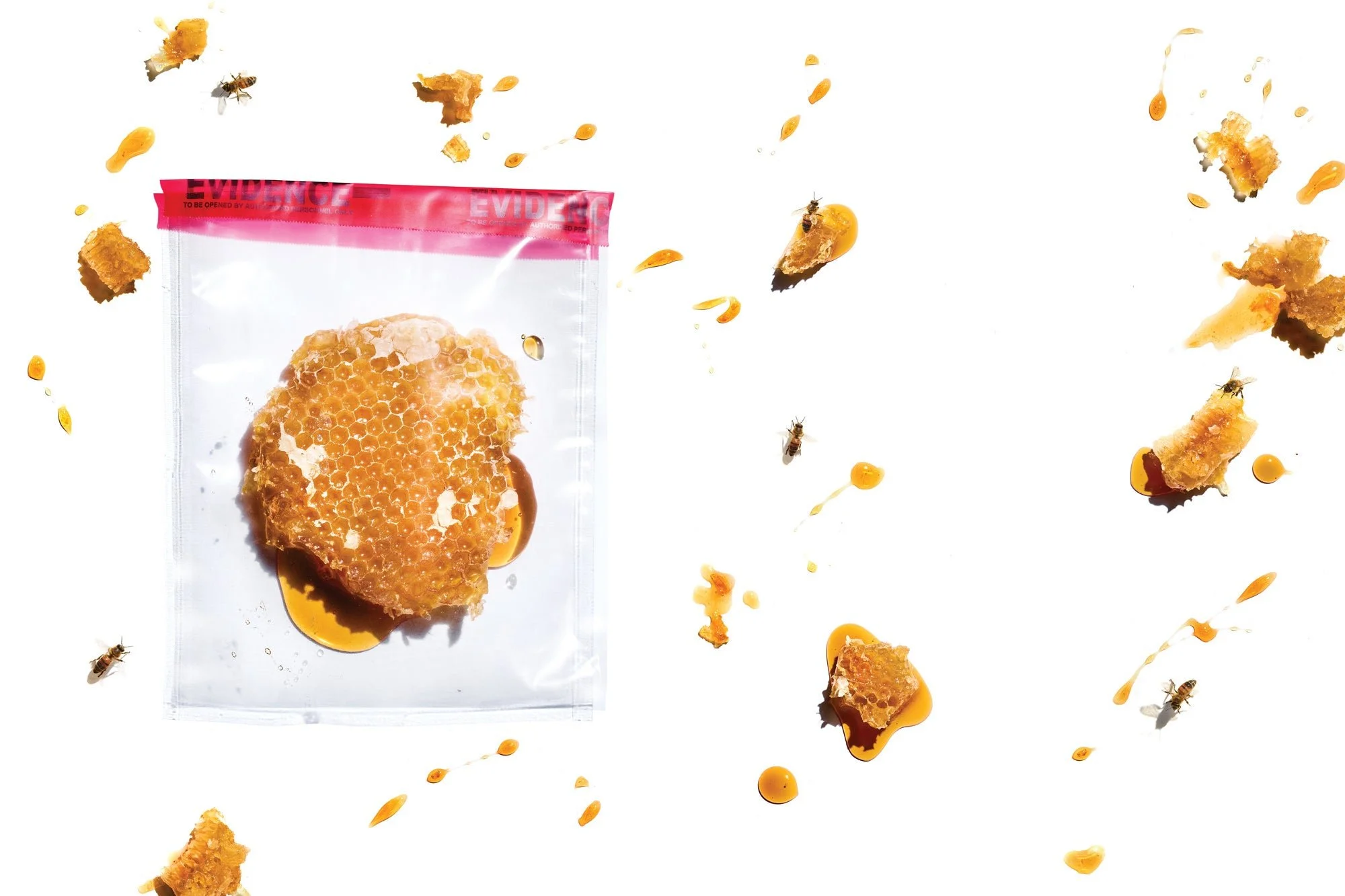 A plastic bag labeled "evidence" holds a piece of golden honeycomb surrounded by sticky globs of honey and several bees