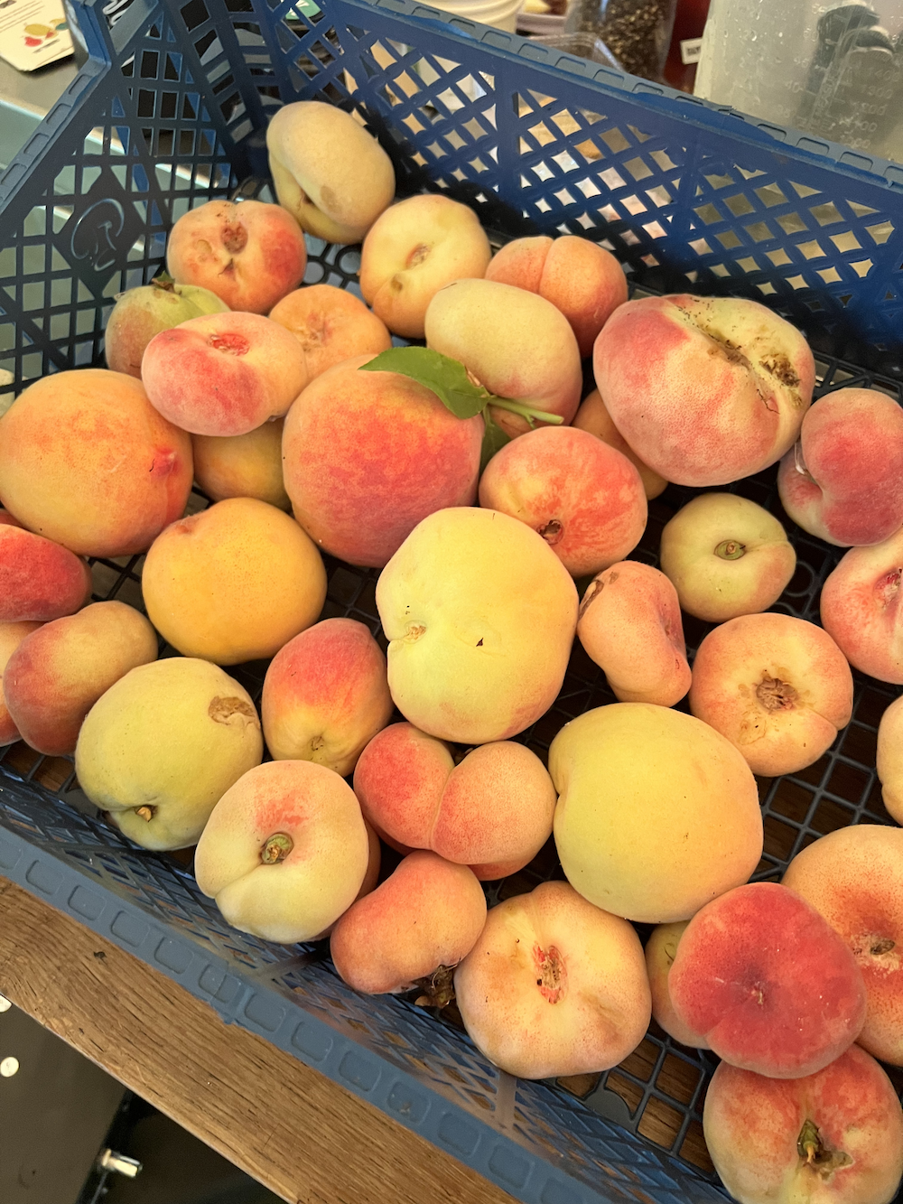 A Slow Food Weekend of Flavour and Stories – Reflections from Comber