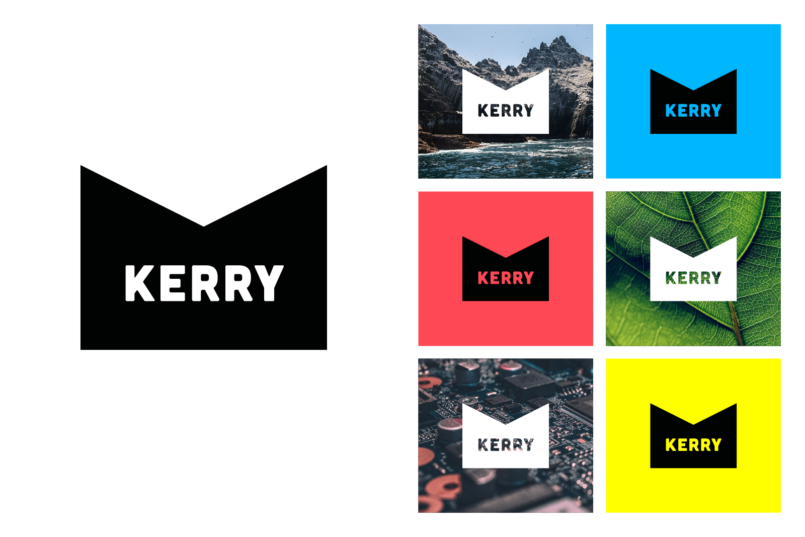 Discover Kerry brand guidelines 