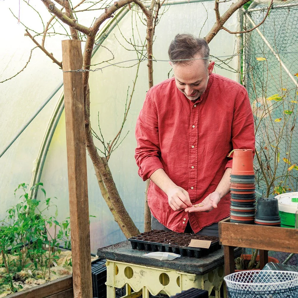 Anthony is planting seeds in his polytunnel