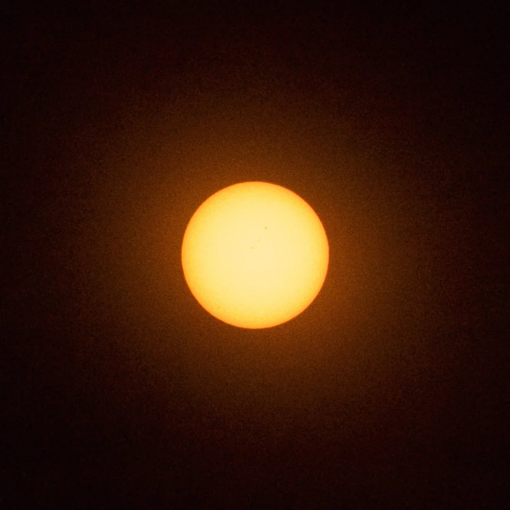 IMG_4793.jpg