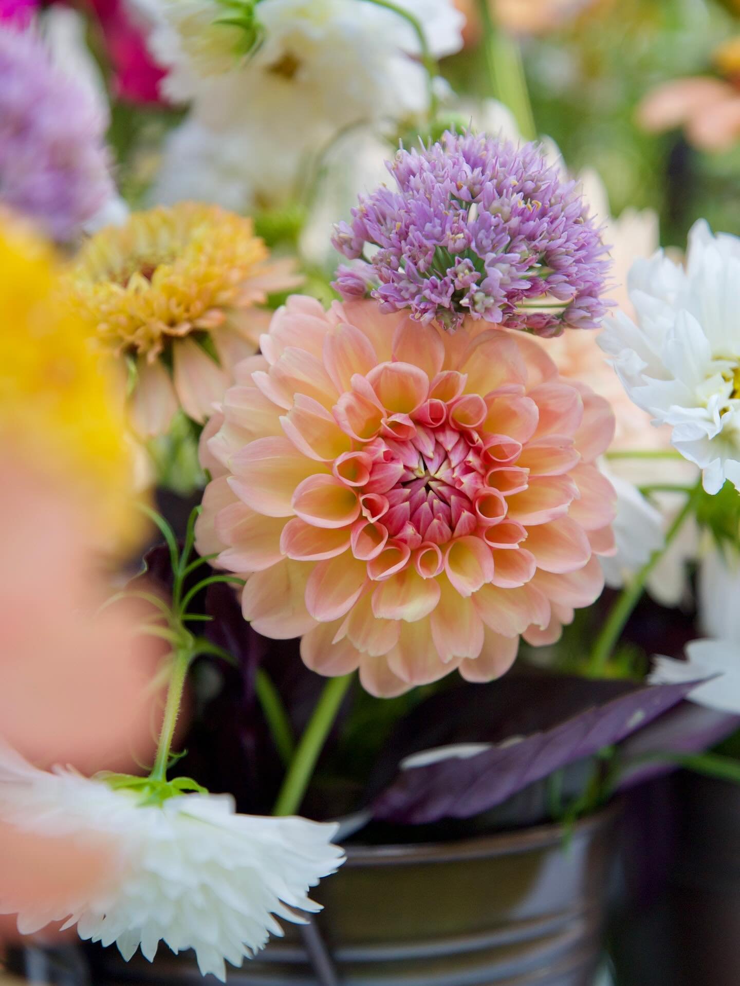 Your event deserves a little floral magic ✨
Hosting something in Metro Detroit? Let&rsquo;s dream up something beautiful &mdash; tap the link in my bio to start your inquiry and bring your vision to life 🤍🌿

.
.
.

#detroitflorist #floral #metrodet