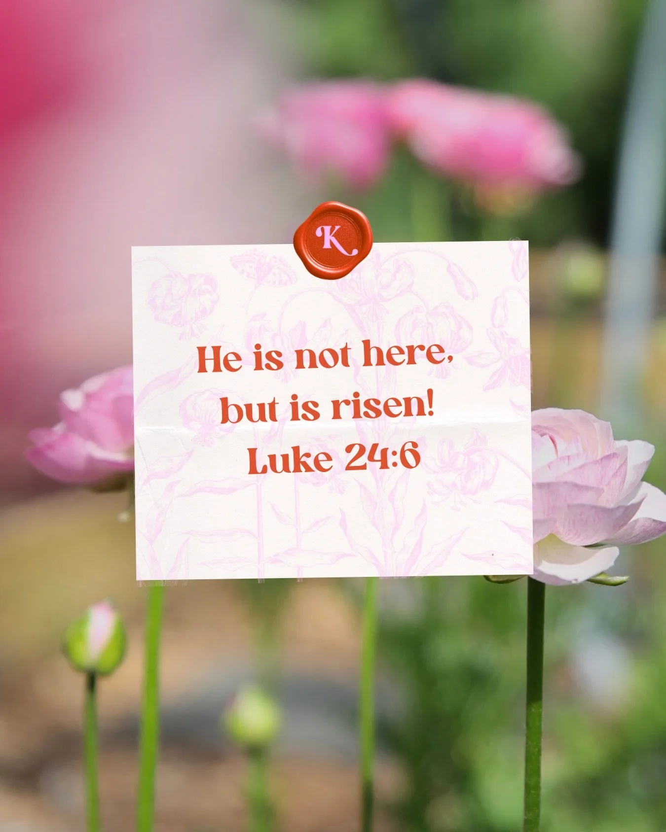 Happy Easter from Klara&rsquo;s Bloom Haus. 🌿🤍