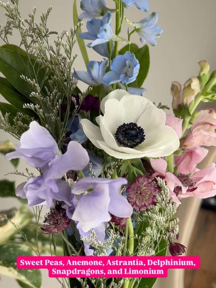 In bloom for dinners, slow mornings, celebrations, or no reason at all. 

💐 Klara&rsquo;s Bloom Haus
📍 Metro Detroit floral design

.
.
.

detroit florist | garden style bouquet | whimsical florals | spring flowers | event florist Michigan