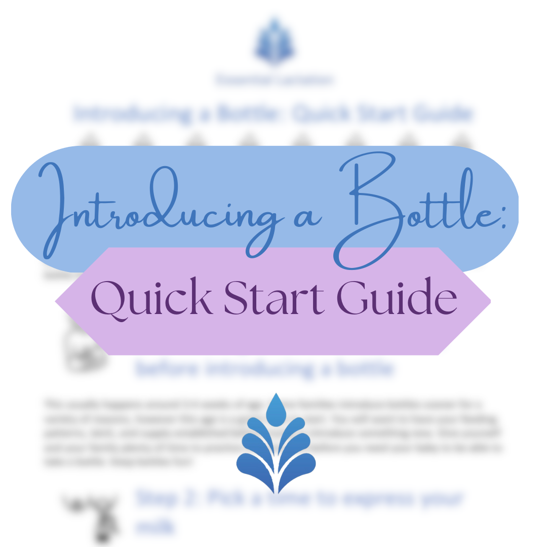 Introducing a Bottle: Quick Start Guide