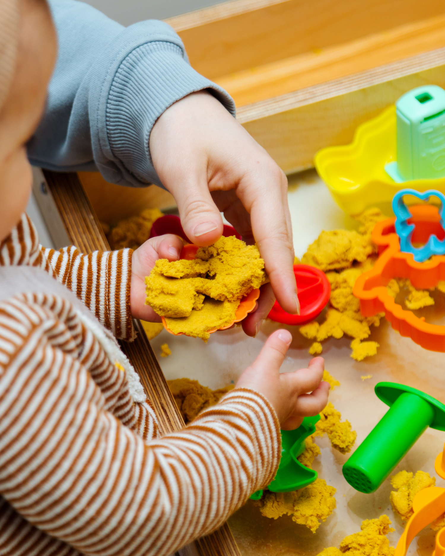 Sensational Sensory Seekers