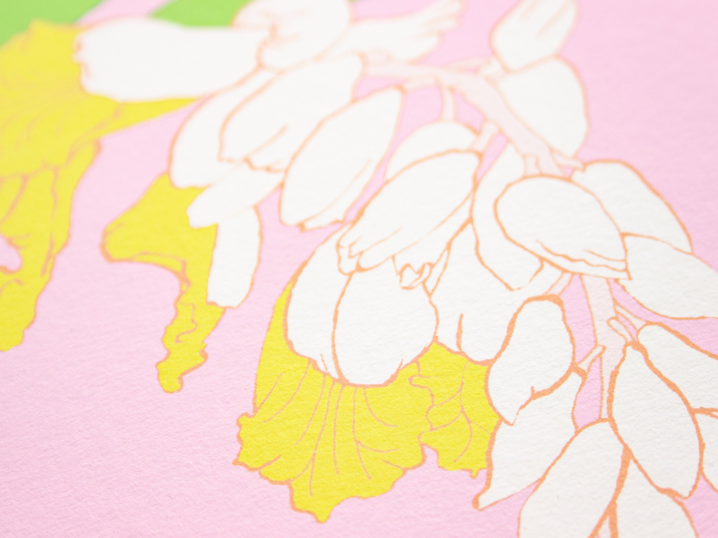 pastel pink lime green tropical shell ginger floral art print by ephemie