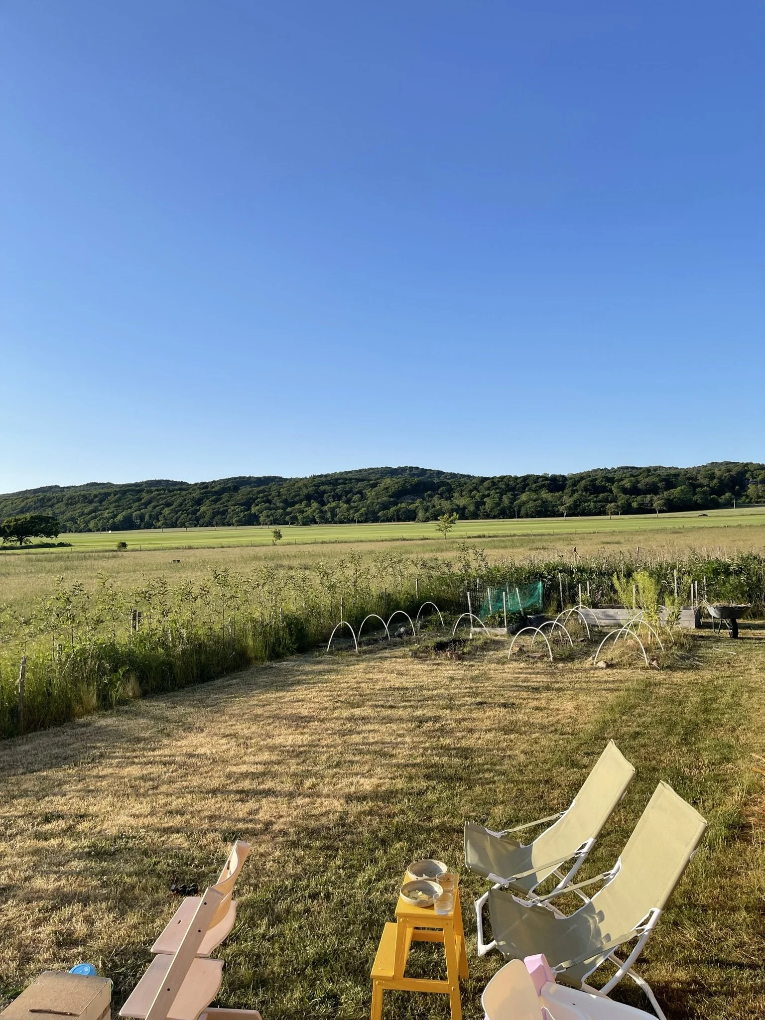 IMG_1547.JPEG