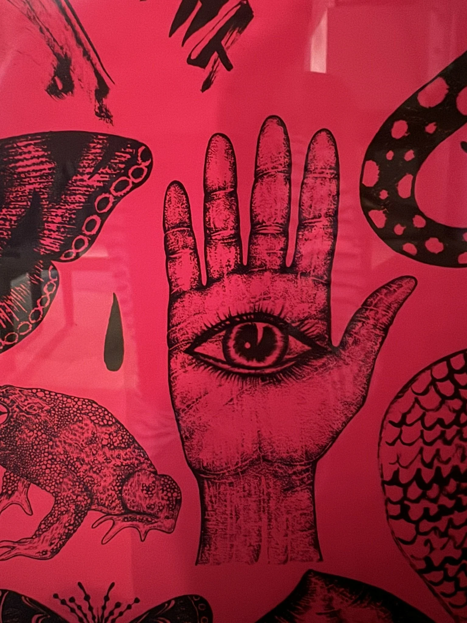 IMG_0151.JPEG