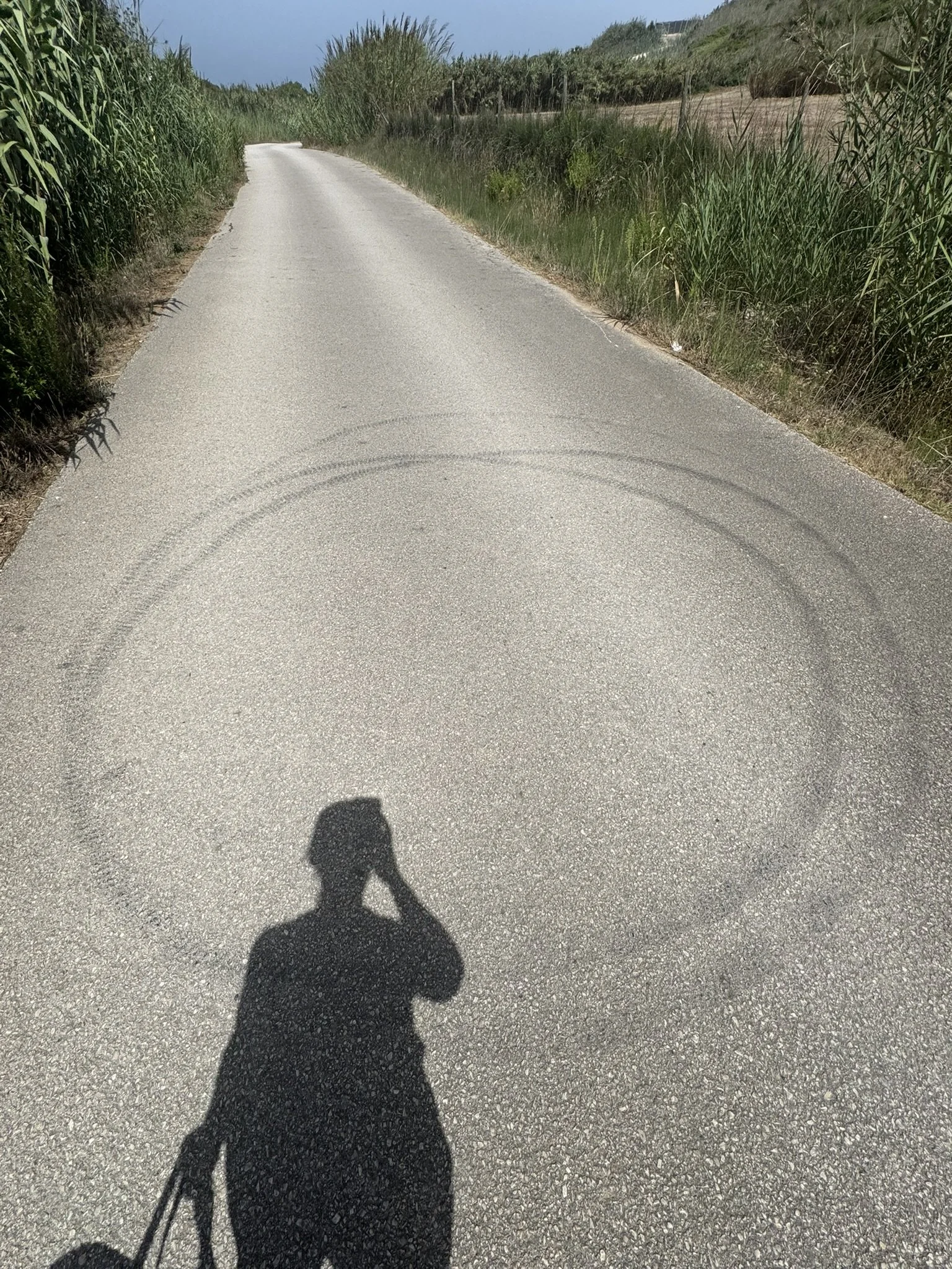 IMG_3752.JPEG