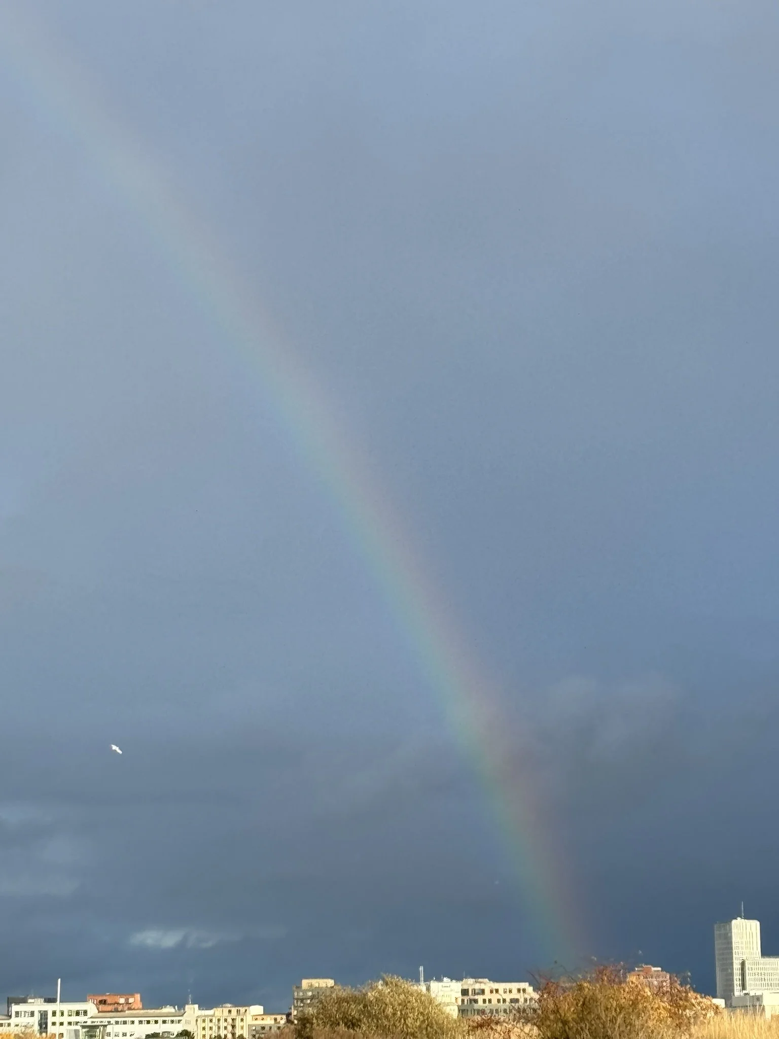IMG_0944.JPEG