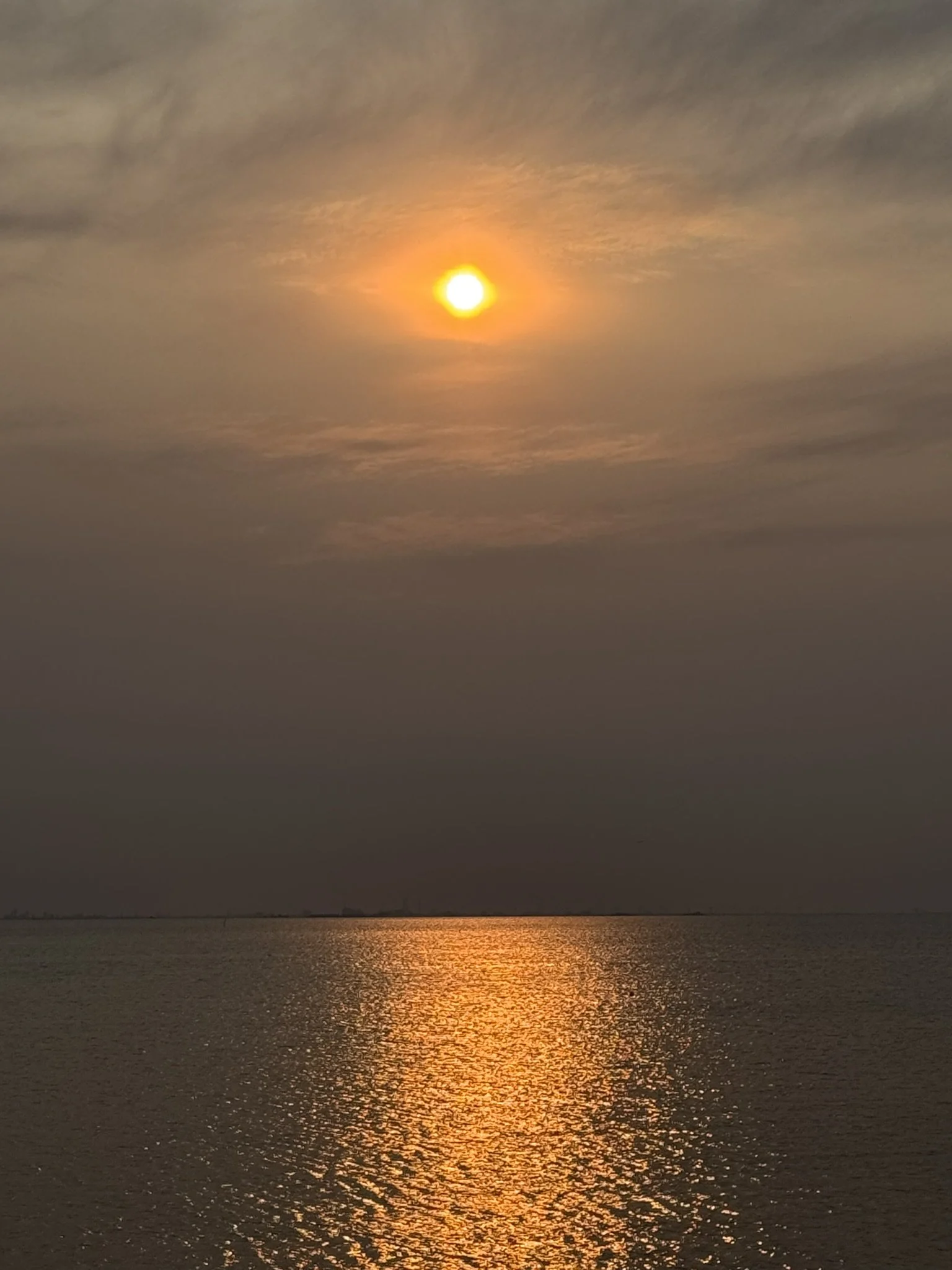 IMG_2670.JPEG