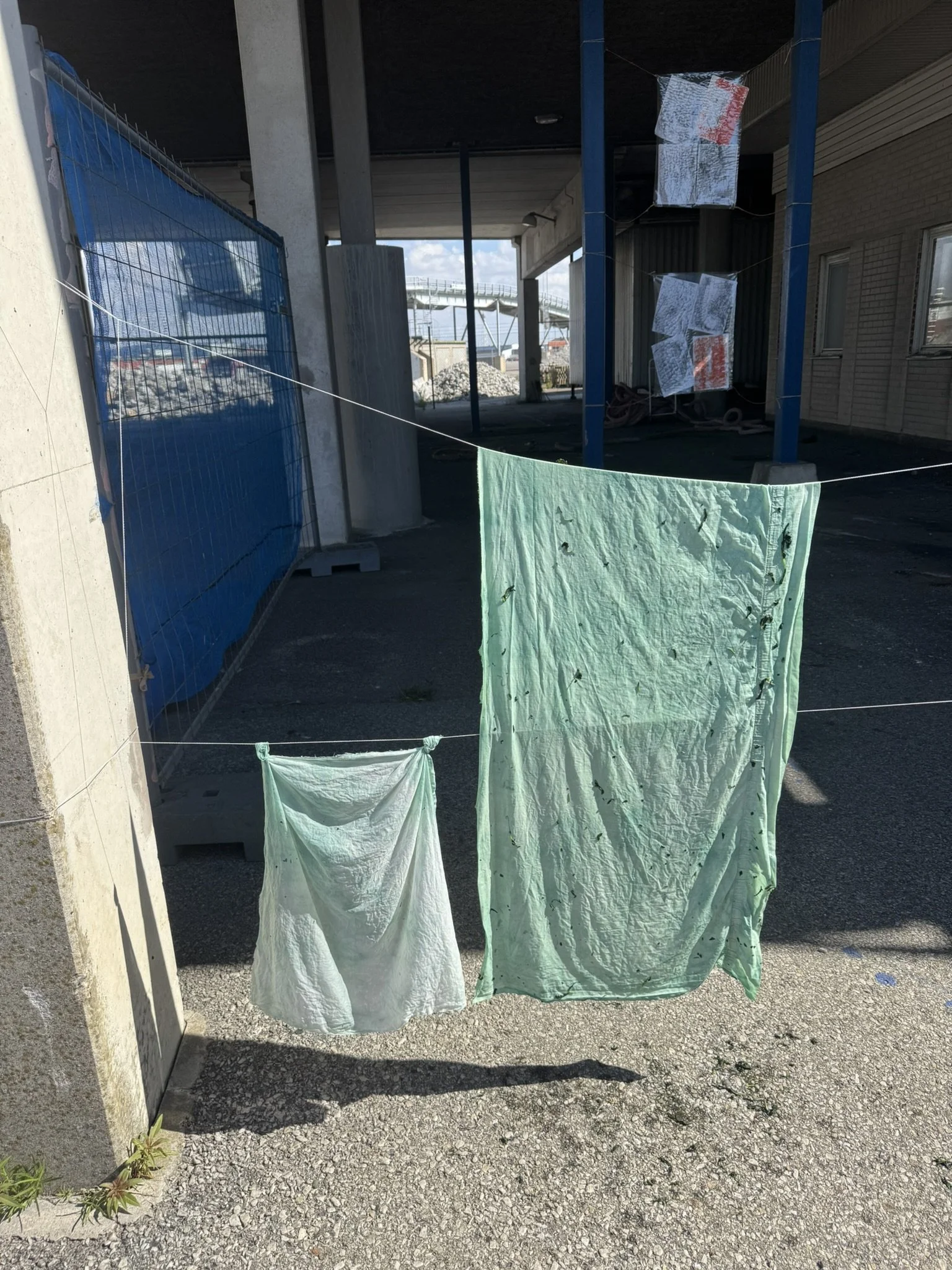 IMG_3964.JPEG