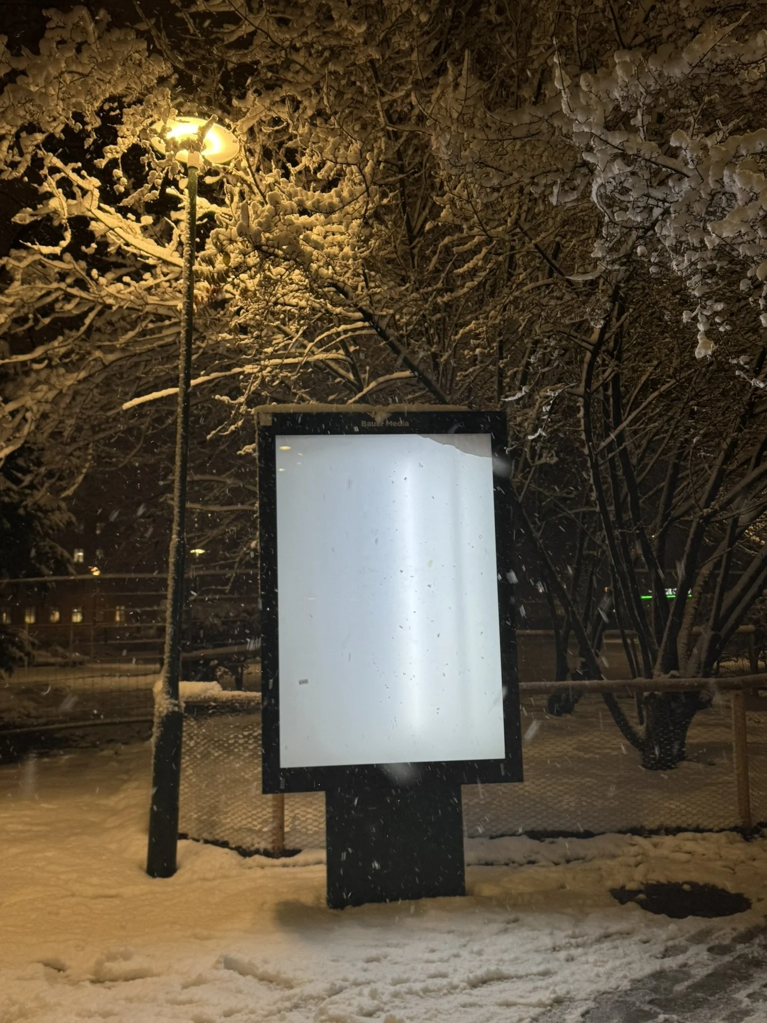 IMG_4915.JPEG