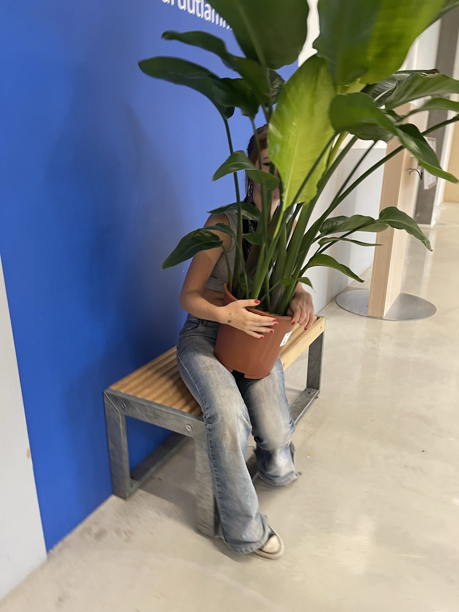 IMG_3138.JPEG