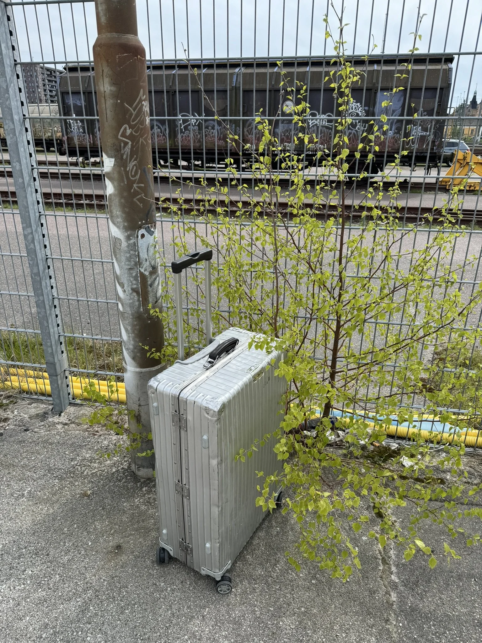 IMG_7796.JPEG