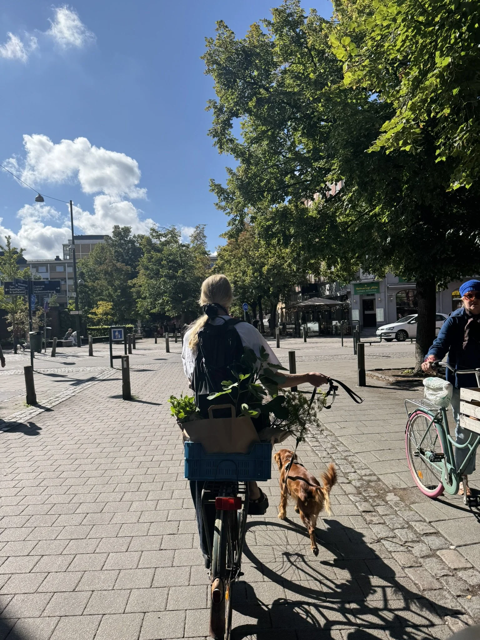 IMG_4044.JPEG