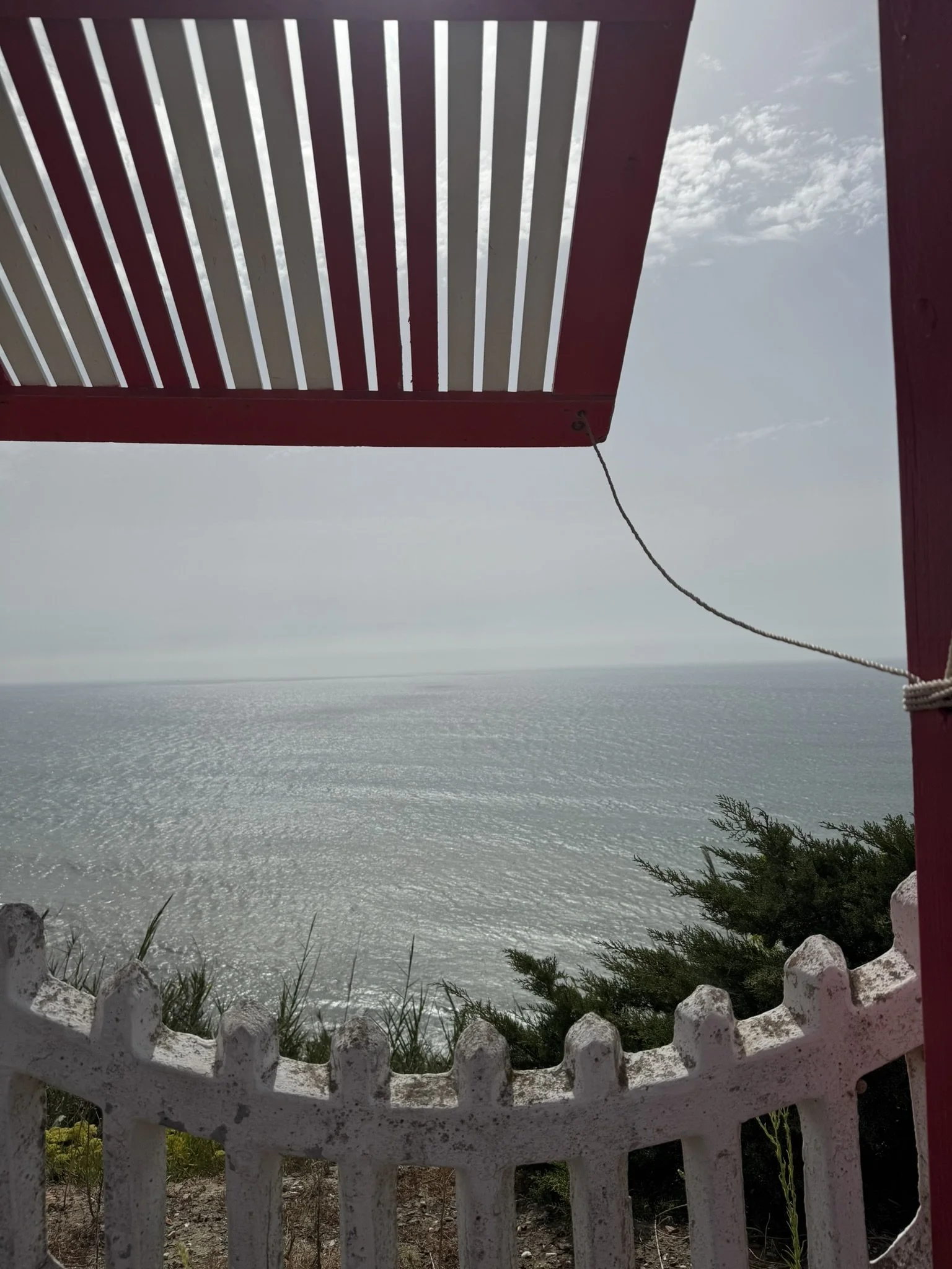 IMG_3767.JPEG