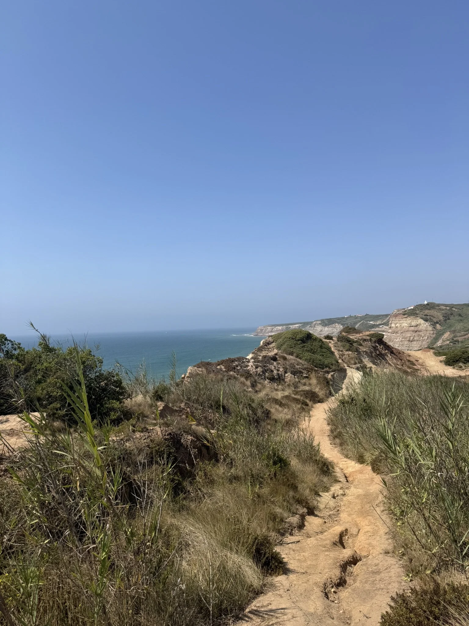 IMG_3574.JPEG