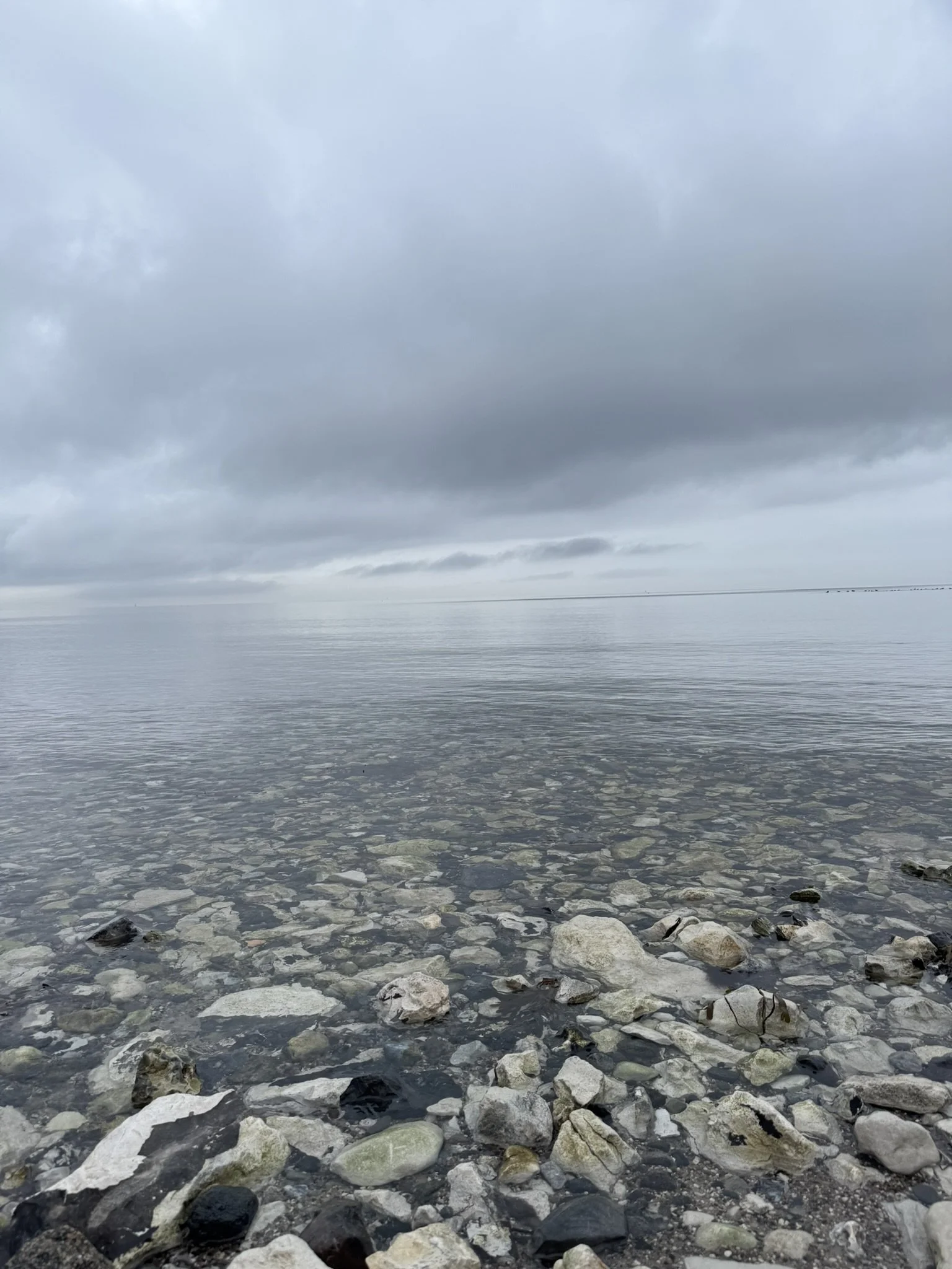 IMG_1461.JPEG