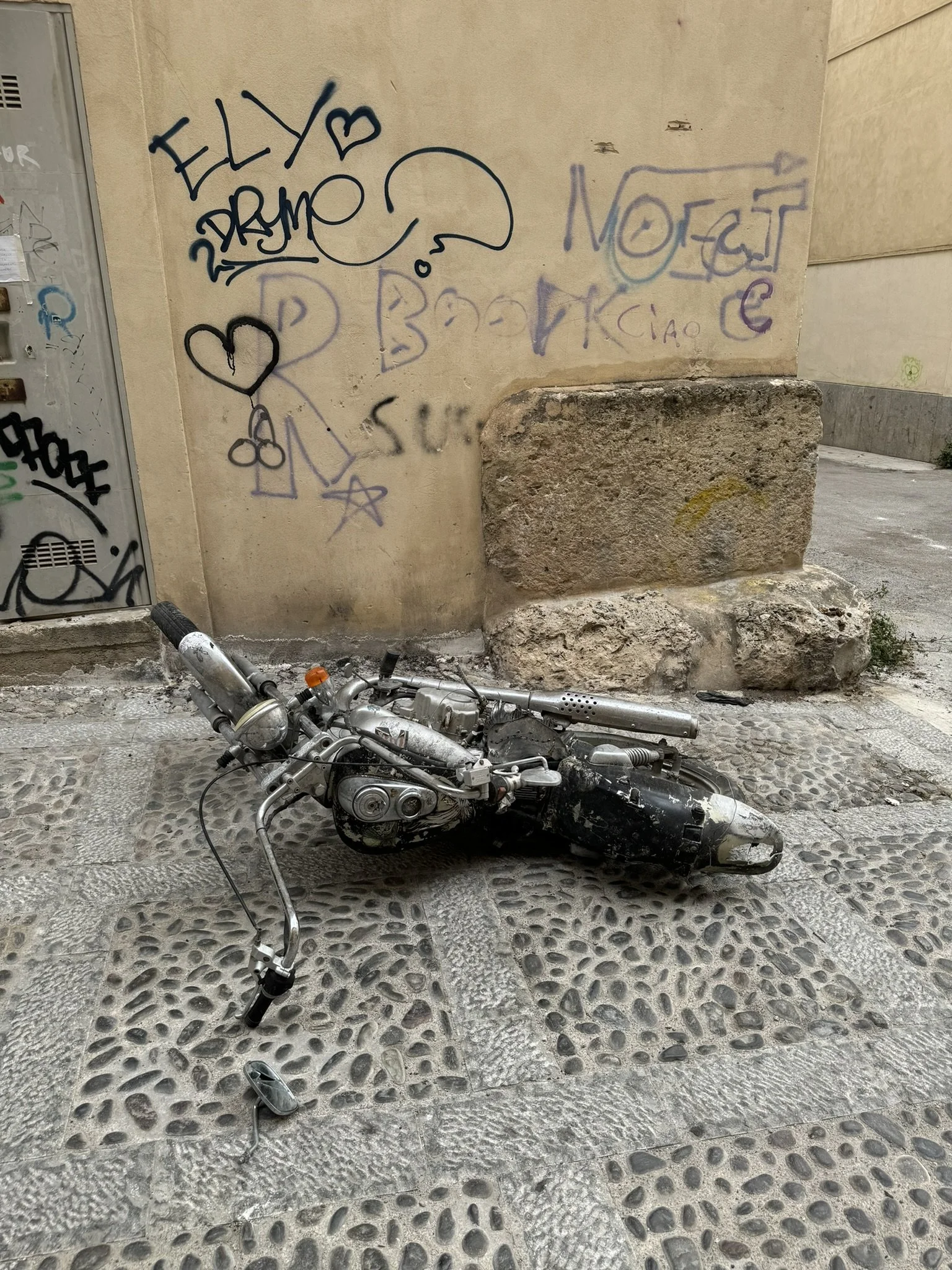IMG_8683.JPEG