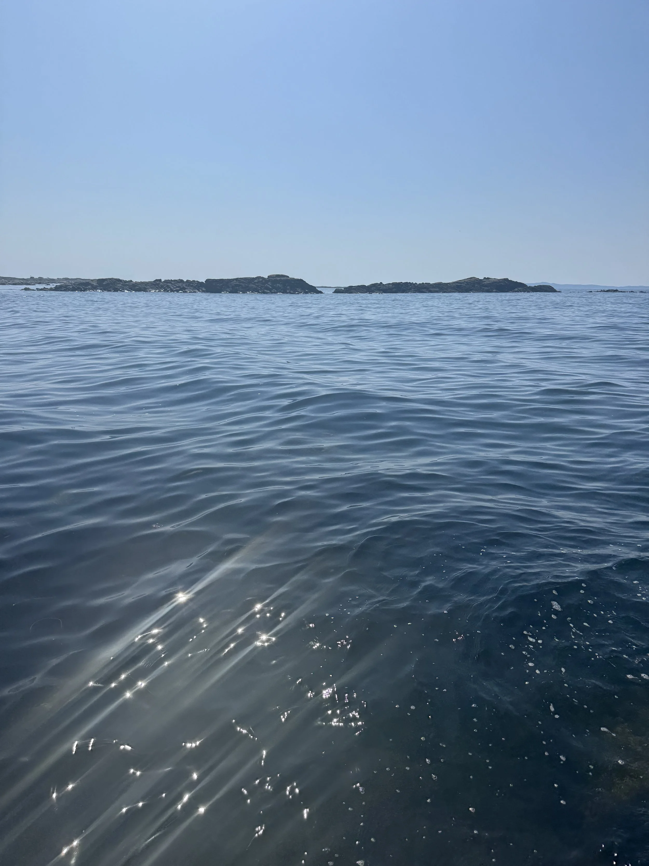 IMG_8109.JPEG