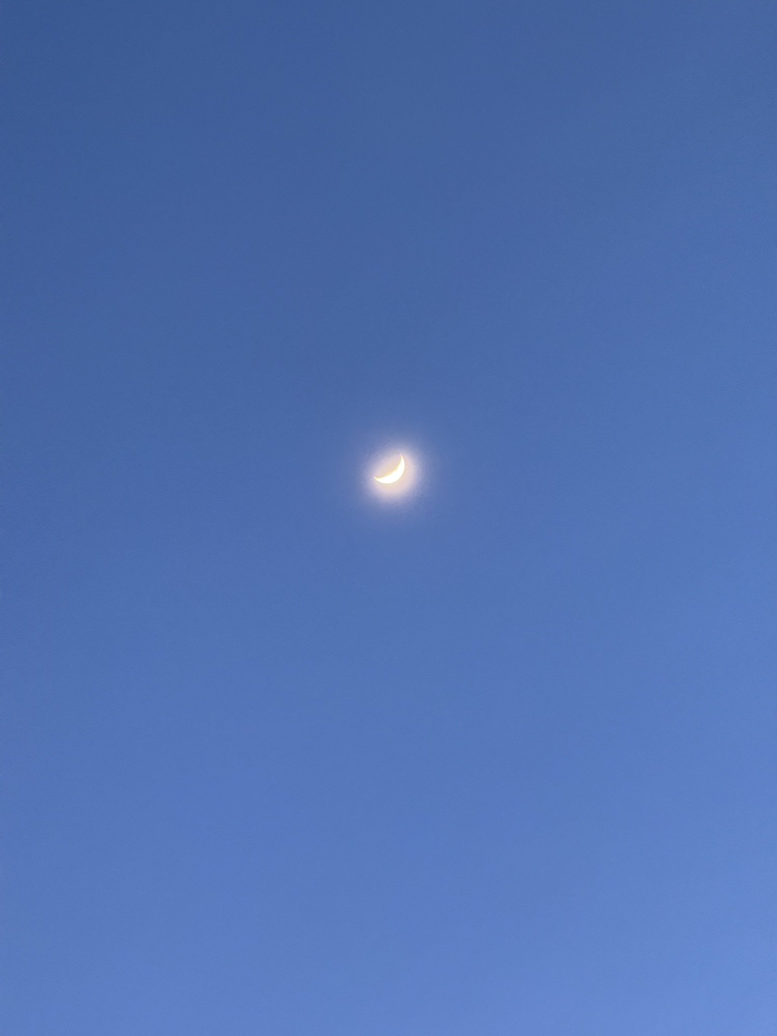 IMG_6181.JPEG