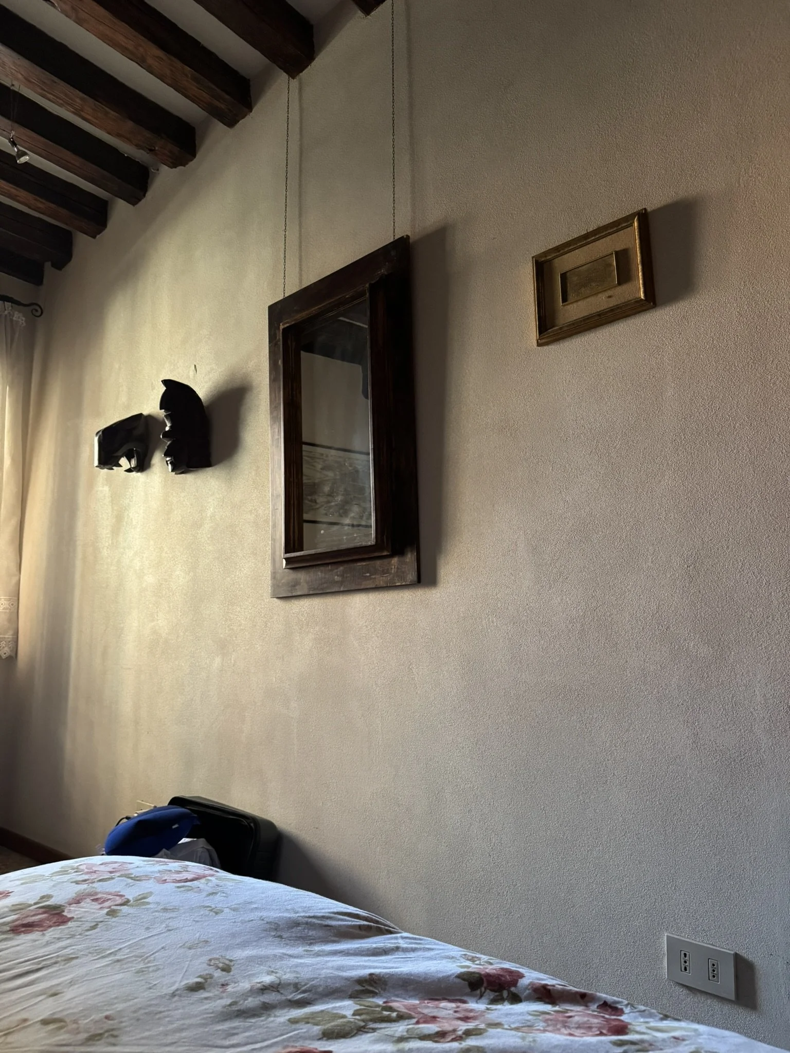 IMG_4310.JPEG