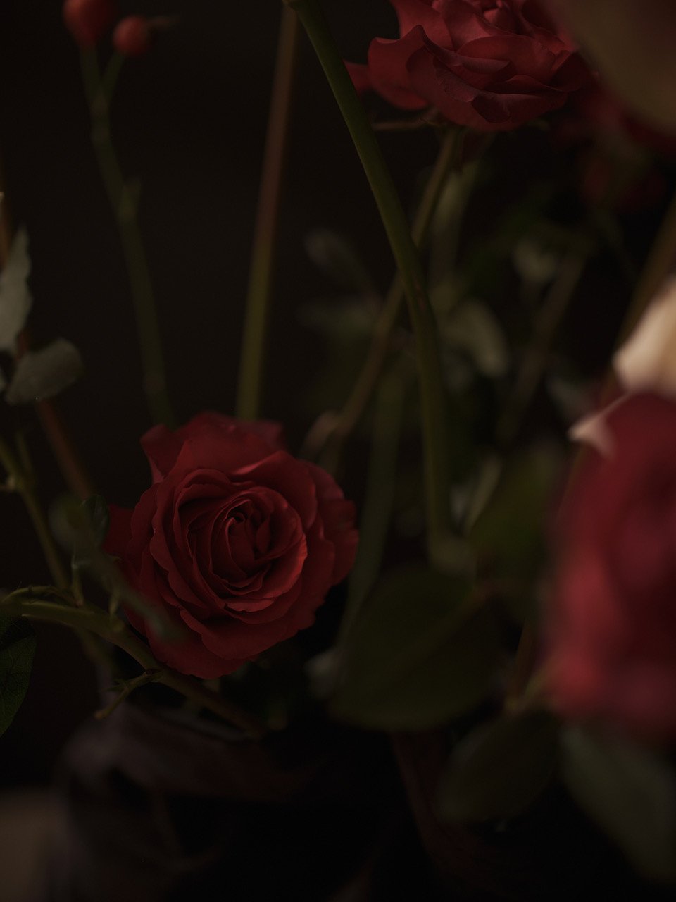 PB_blomsterpigan_okt_202412467Set_07.jpeg