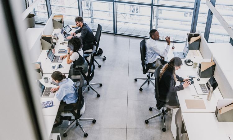 Virtual assistant providing operational support for a growing small business