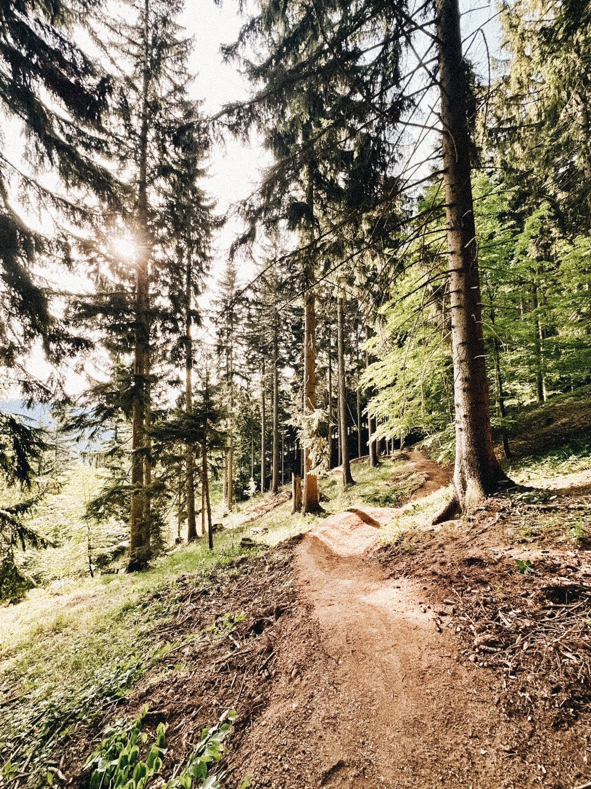 alpenbikepark_schneeberg-7.jpg