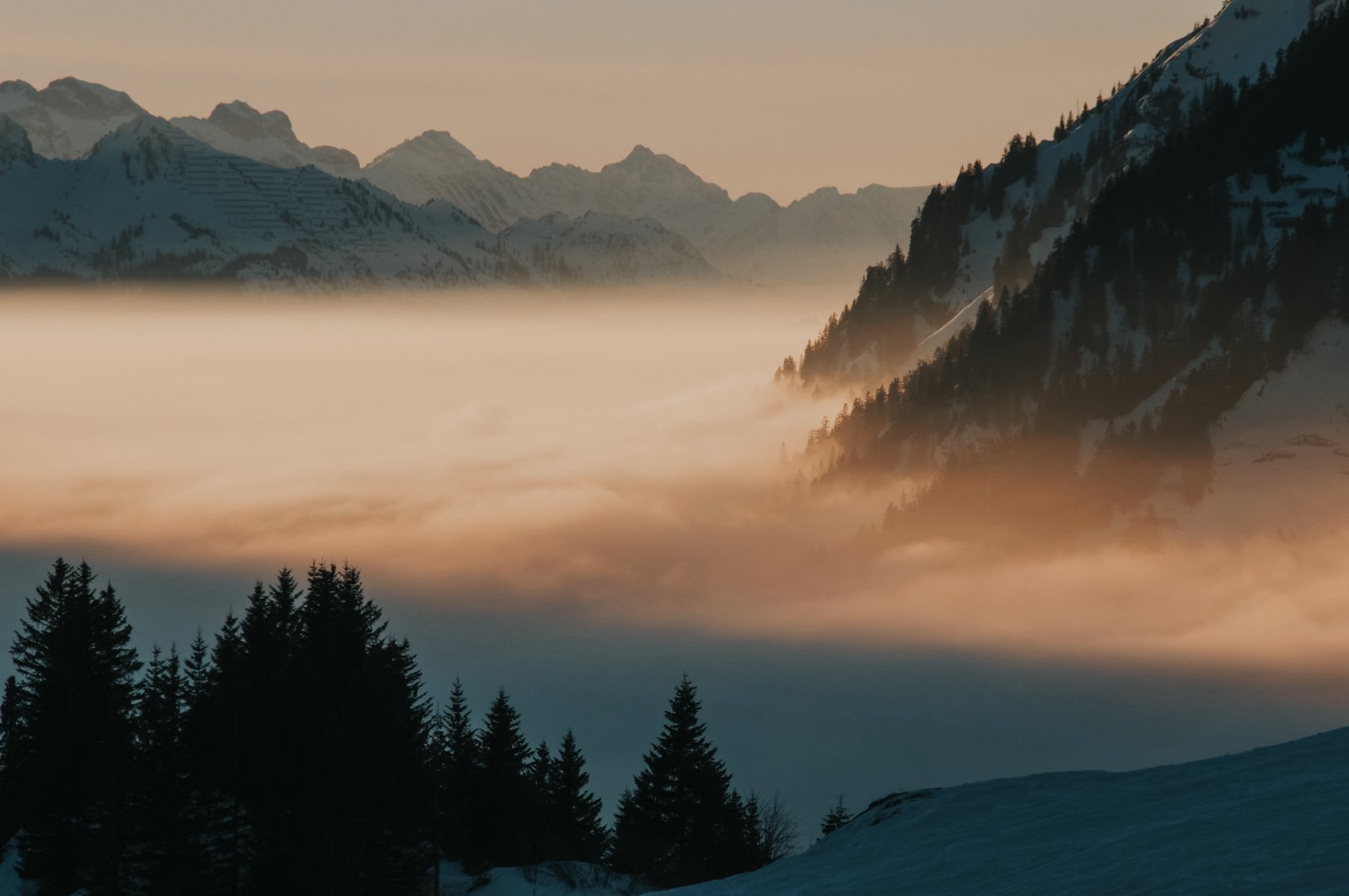 campx_unsplash-26.jpg