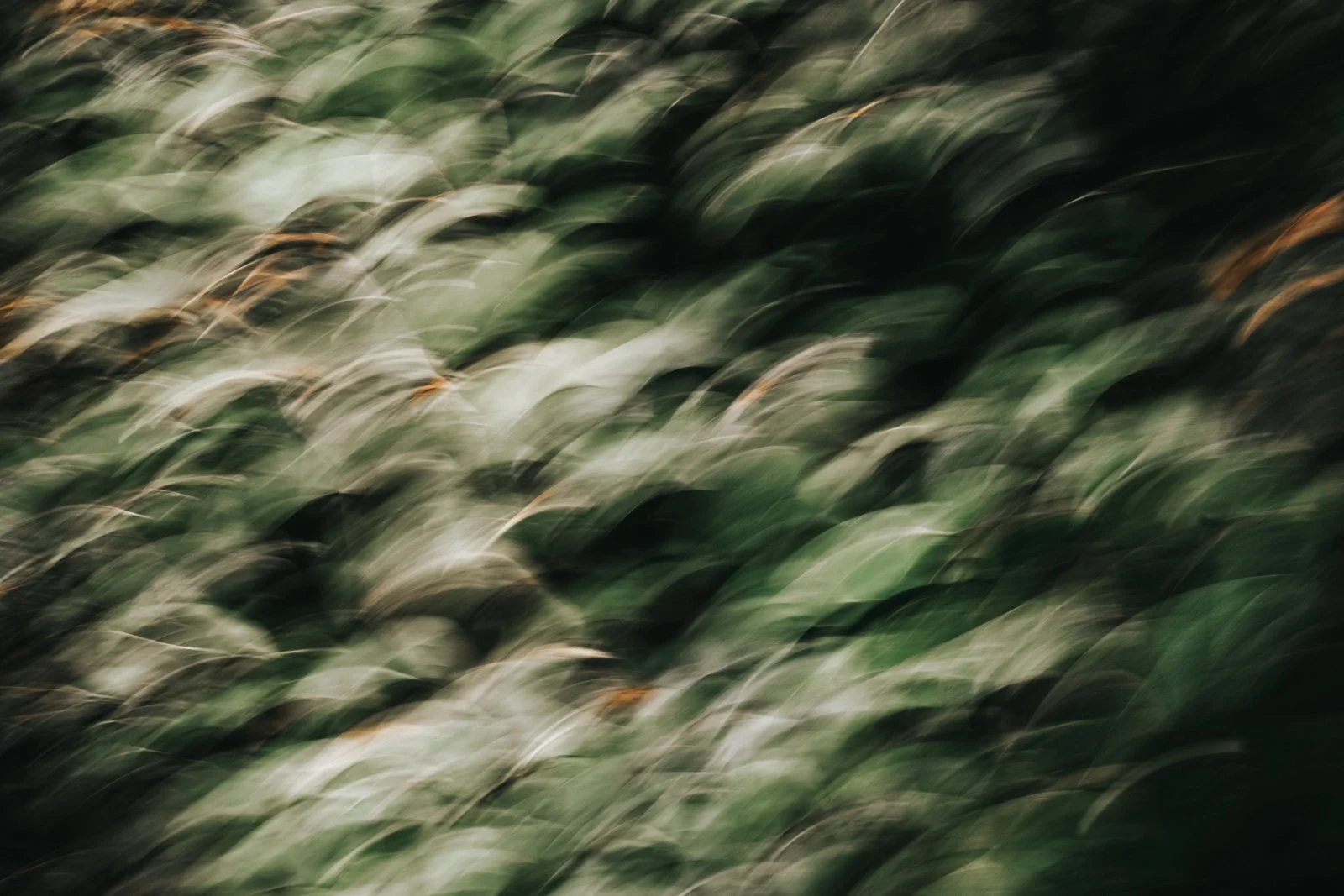 campx_unsplash-18.jpg