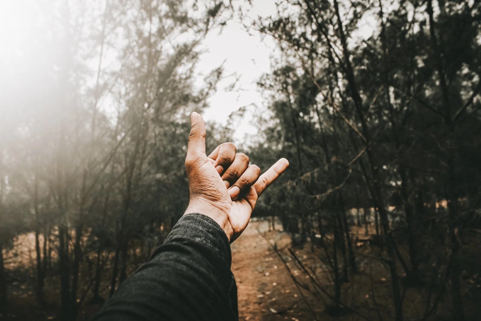 campx_unsplash_2-28.jpg