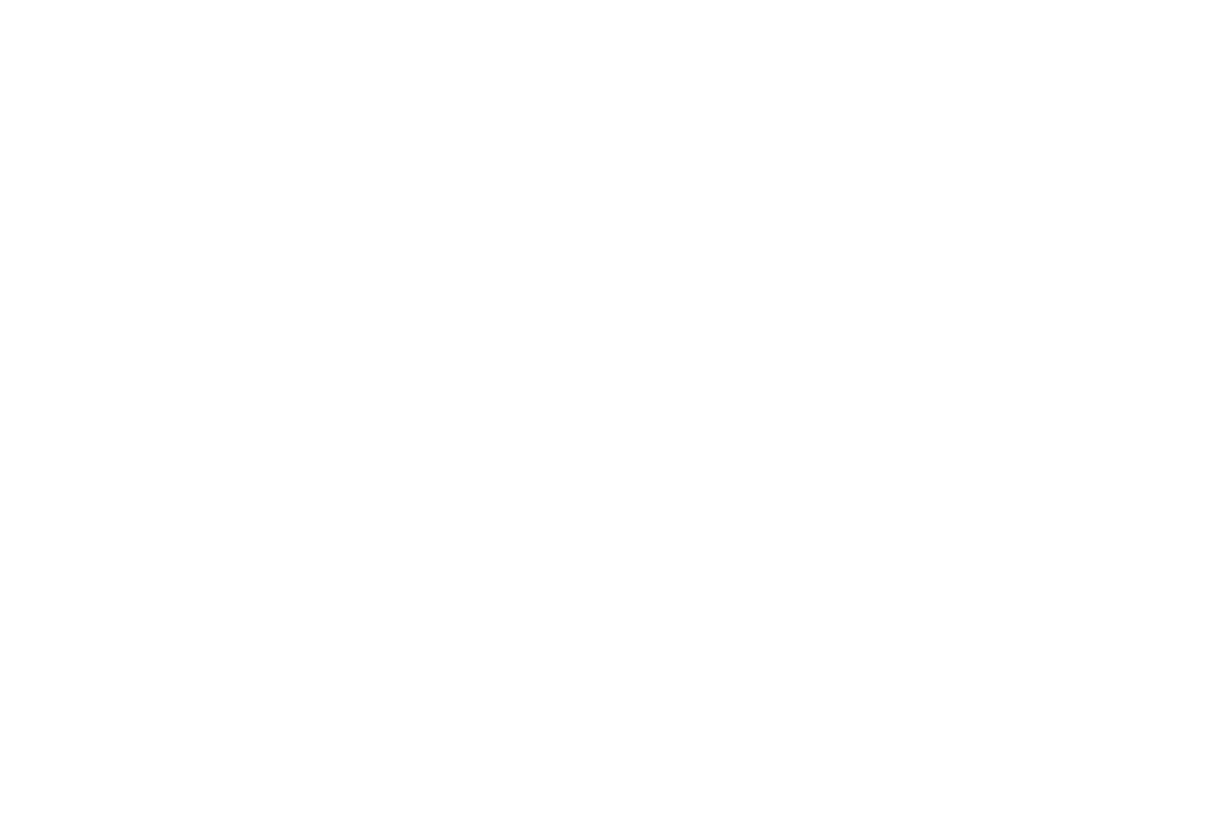 cx_campx_sponsoren_logos_footer_weiss_frnd.png