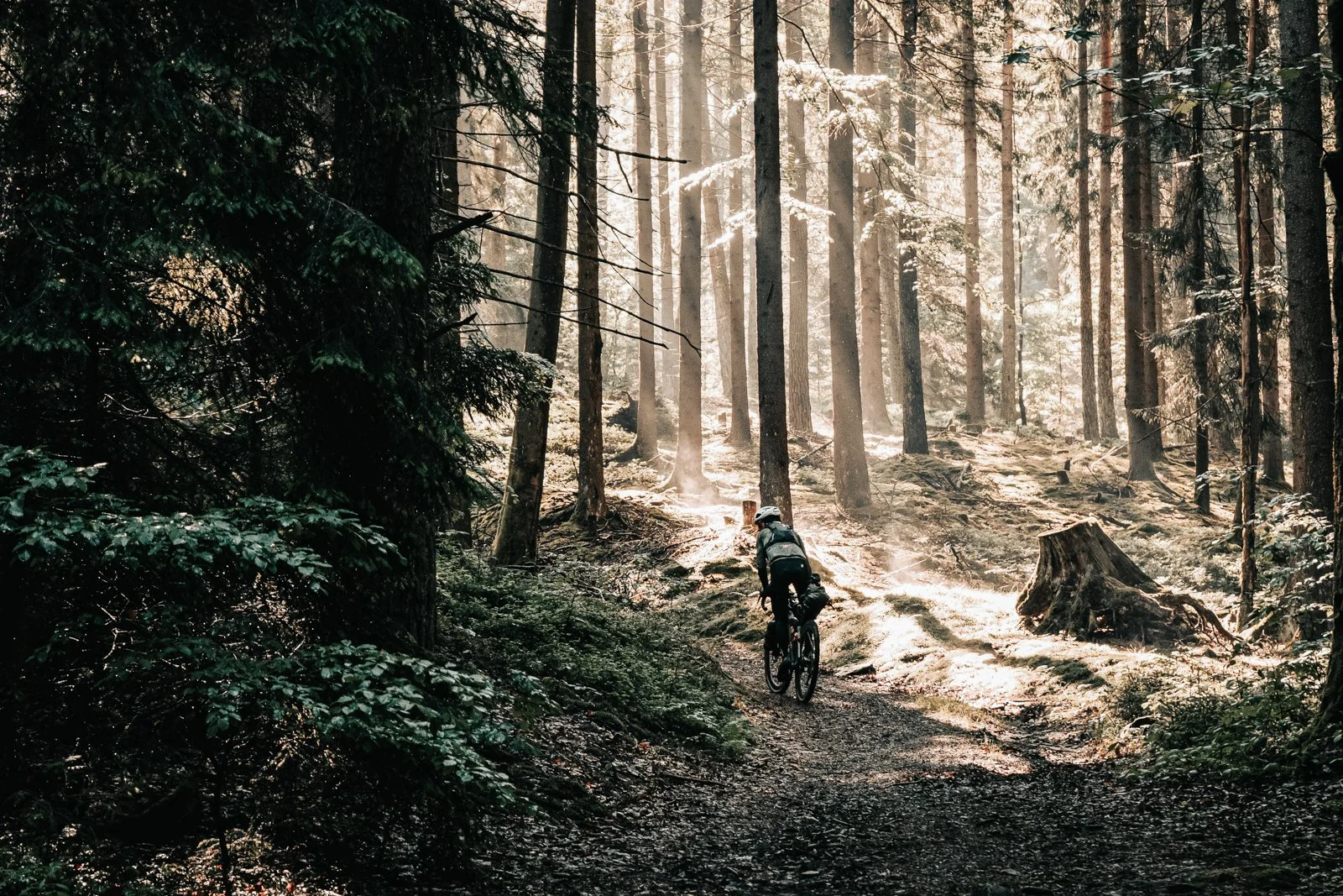campx_unsplash-16.jpg