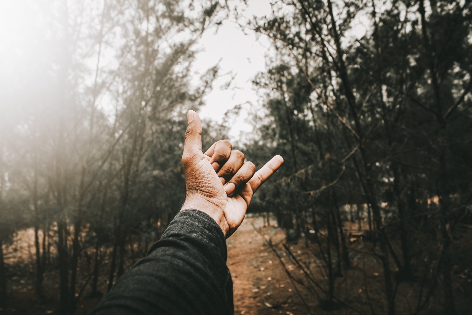 campx_unsplash_2-28.jpg