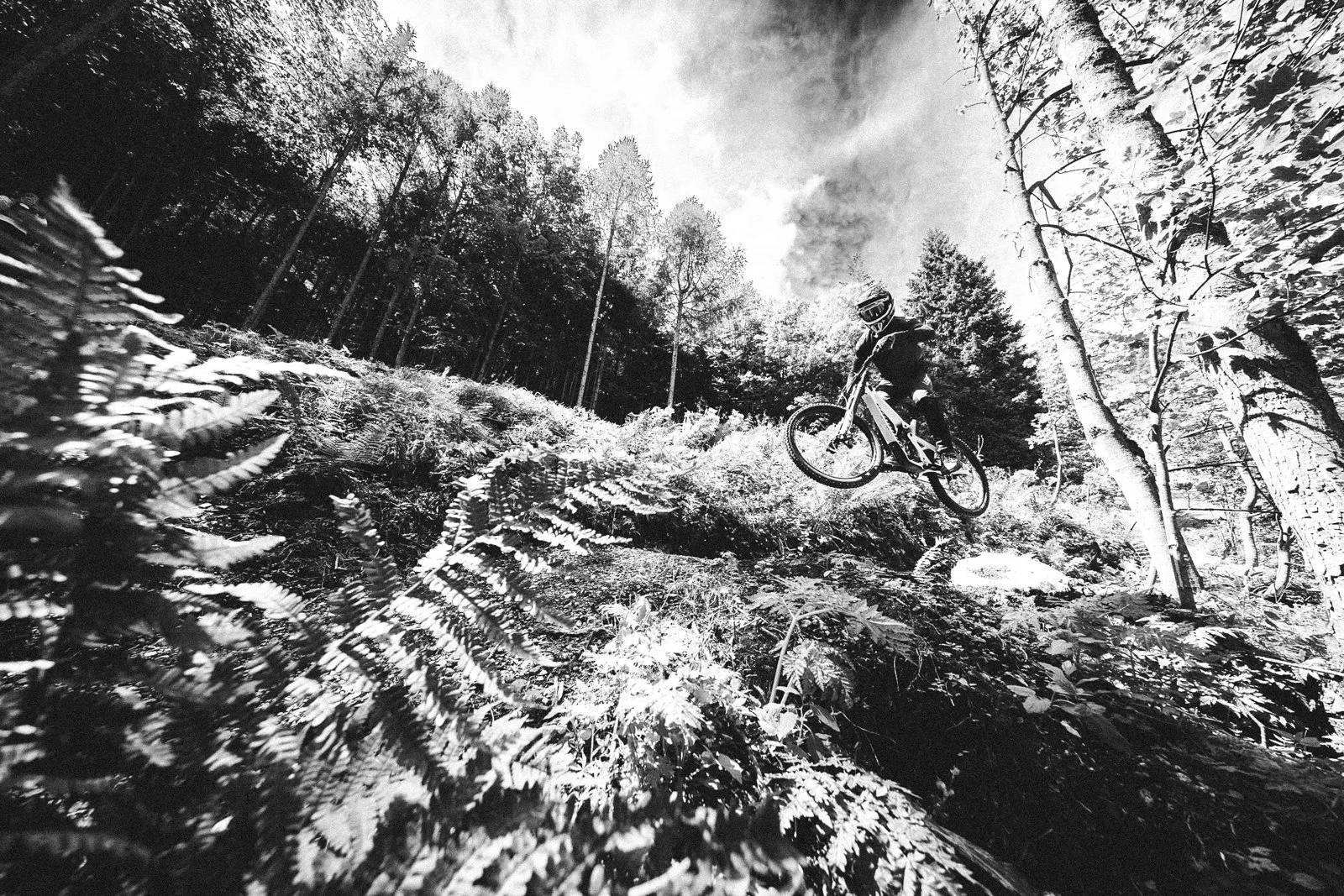 alpenbikepark_schneeberg-9.jpg