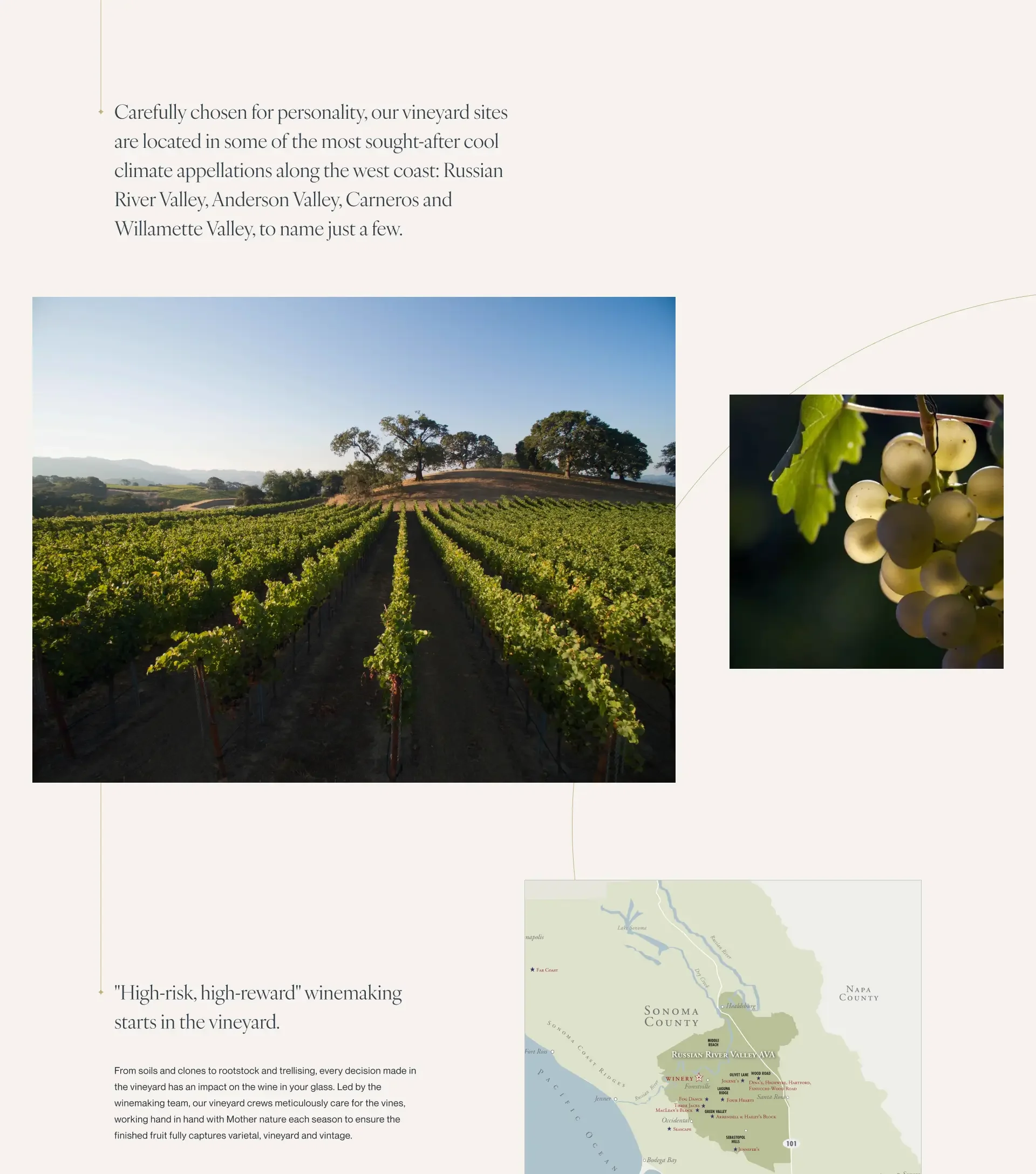 HFW_Vineyards_snip-1.webp