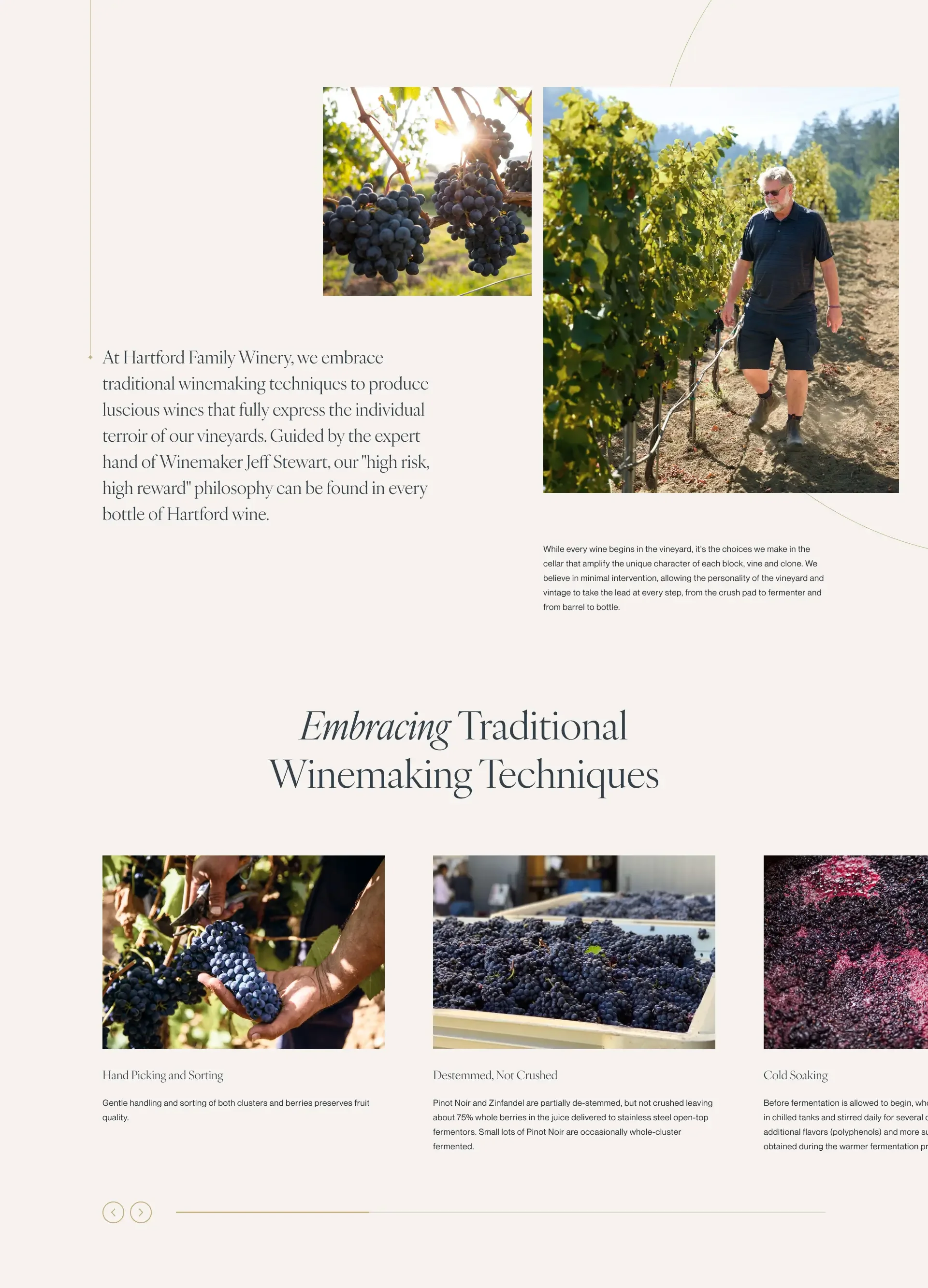 HFW_Winemaking_snip-1.webp