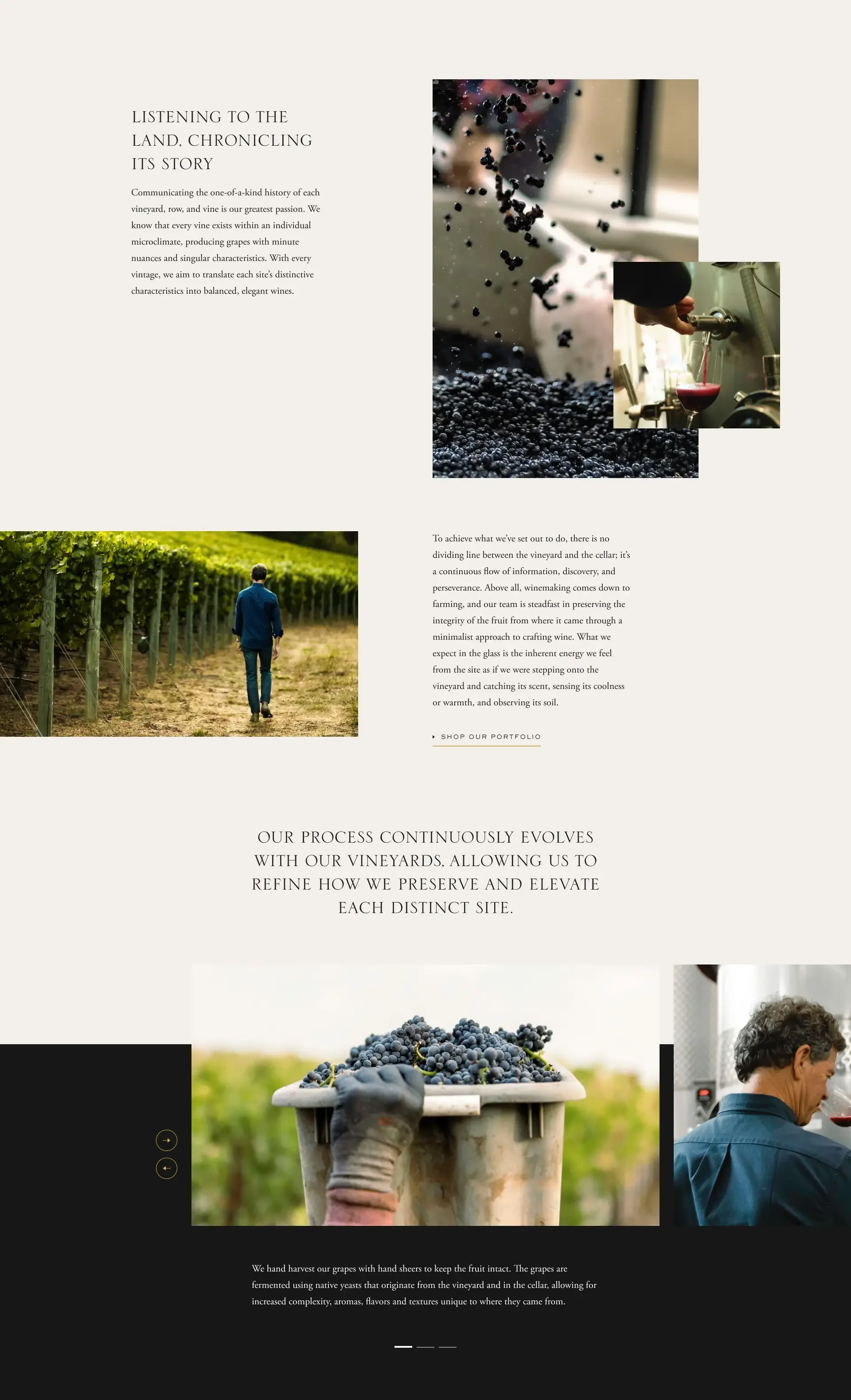 Winemaking.webp