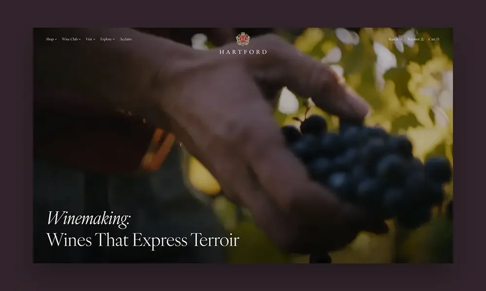 Hartford Family Winery