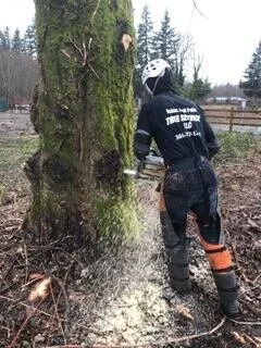 Mossy Madness.jpg