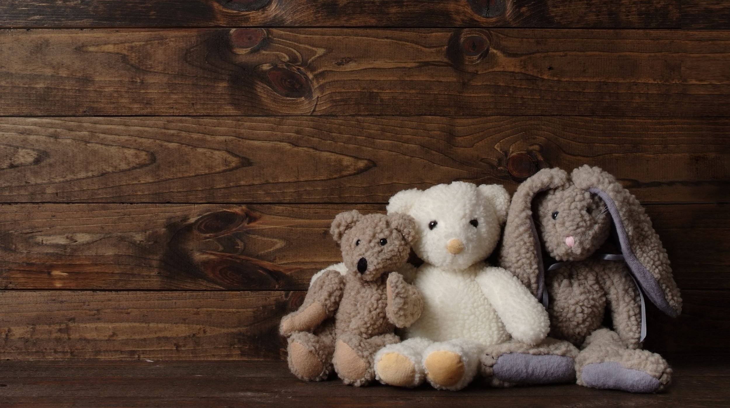 HOSPITAL DE PELUCHES .jpg