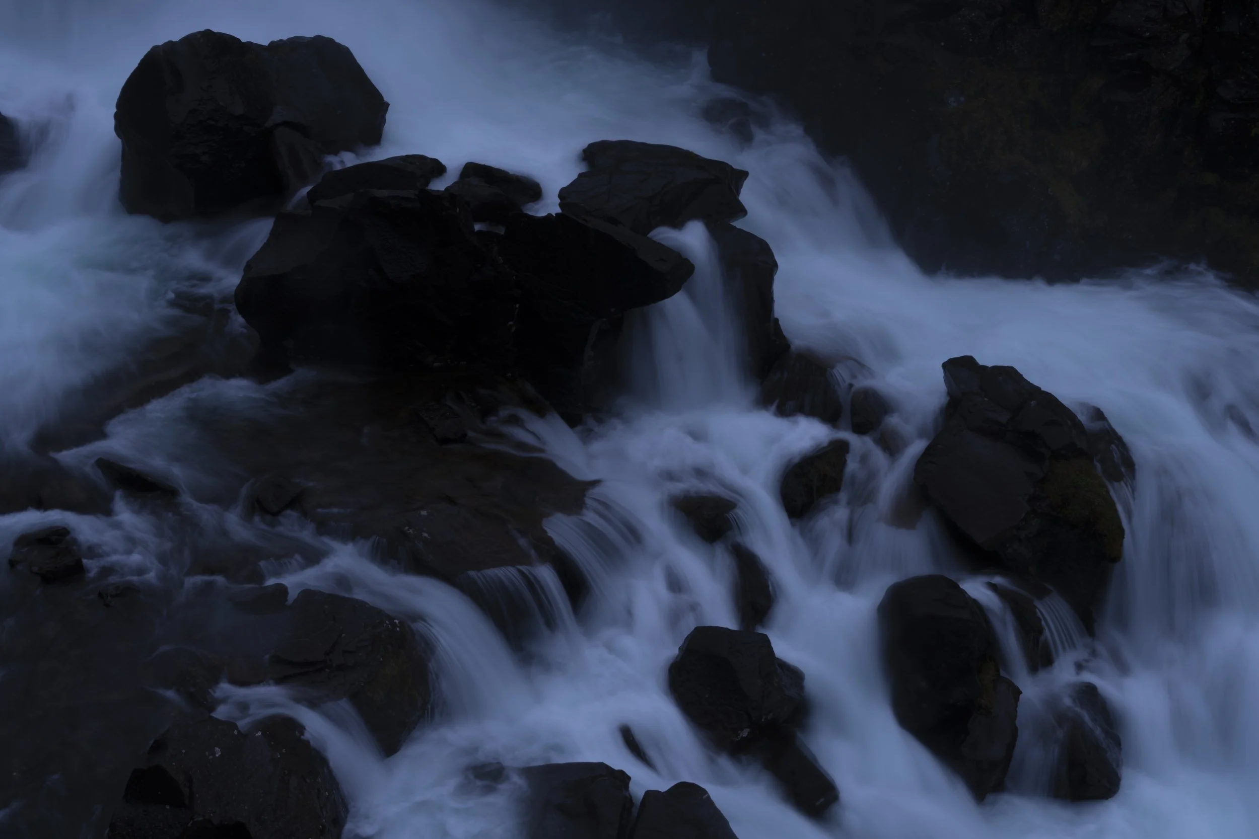 DSC09183.jpg