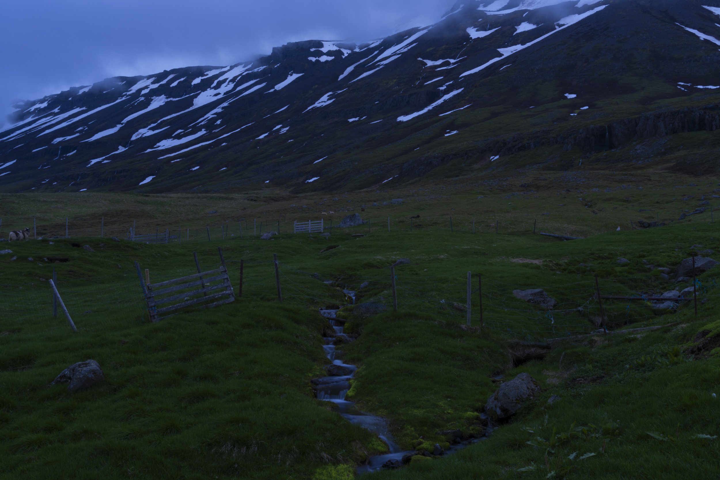 DSC08508.jpg