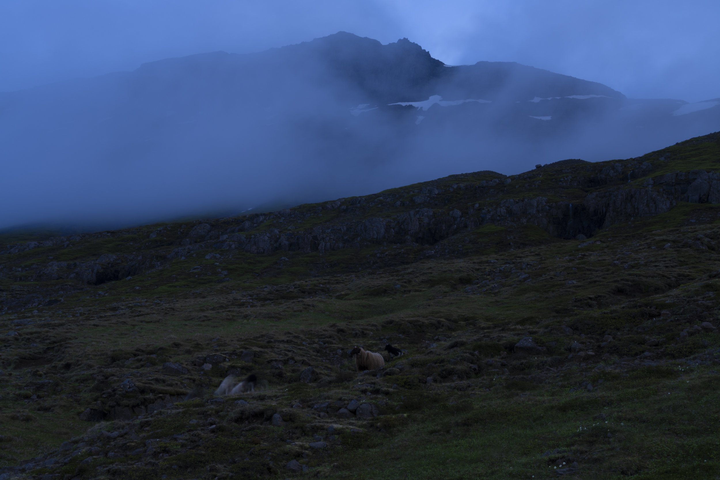 DSC08568.jpg