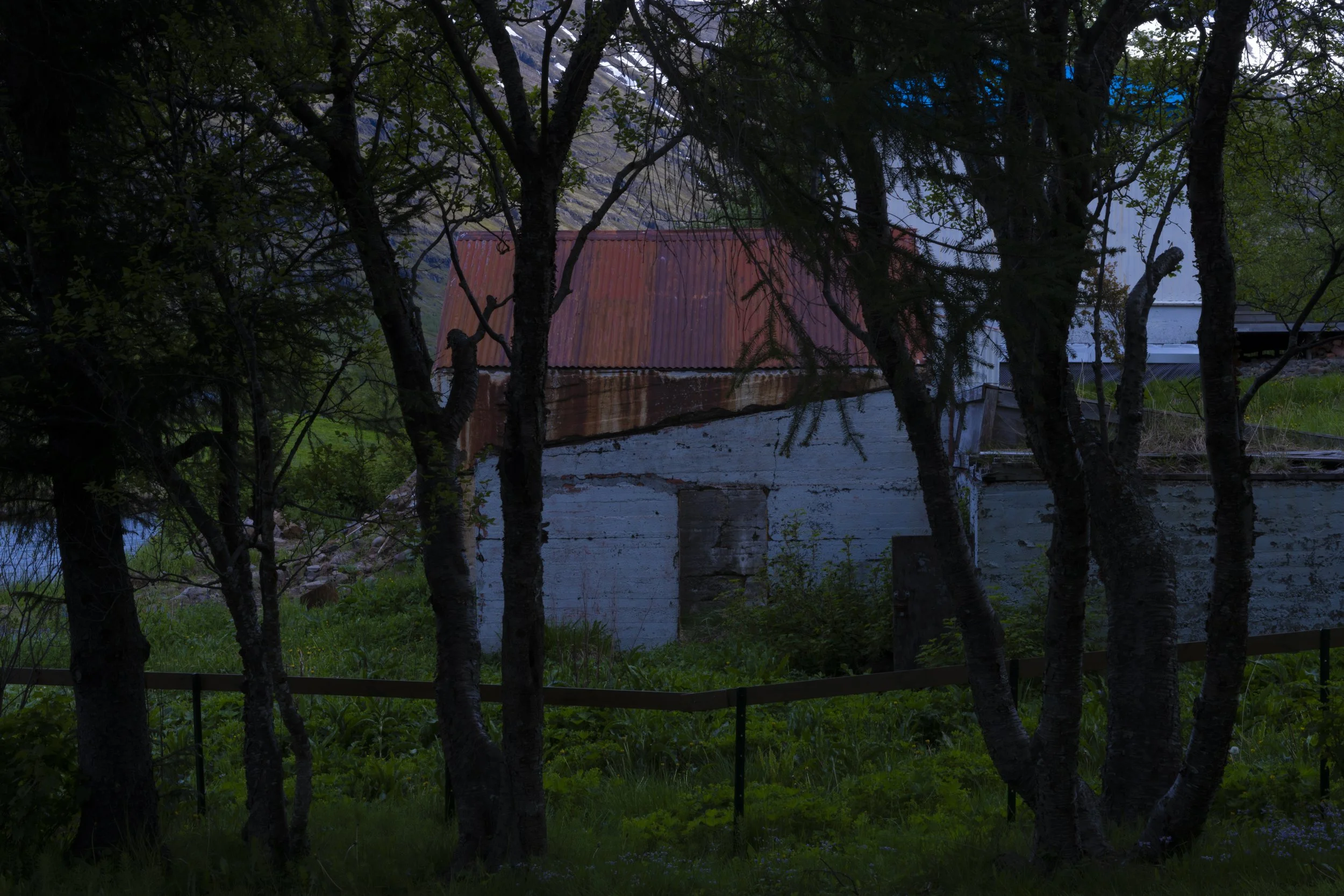 DSC08688.jpg