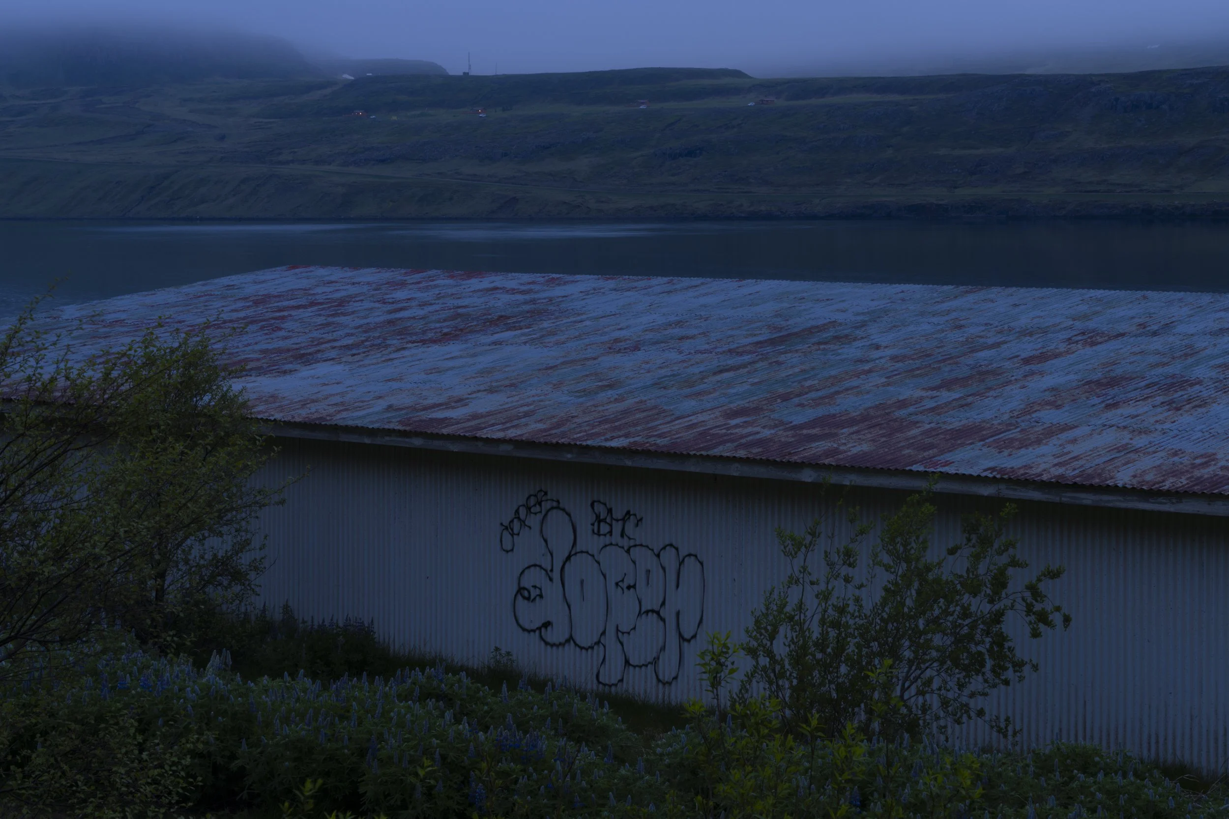 DSC08670.jpg